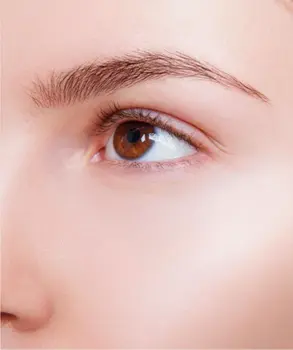eyebrow transplant after